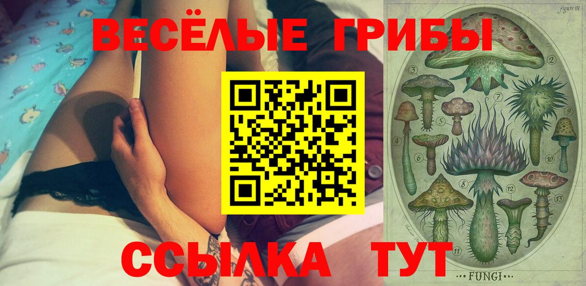 Галлюциногенные грибы Psilocybine cubensis  закладка  Киреевск  Вход с VPN 